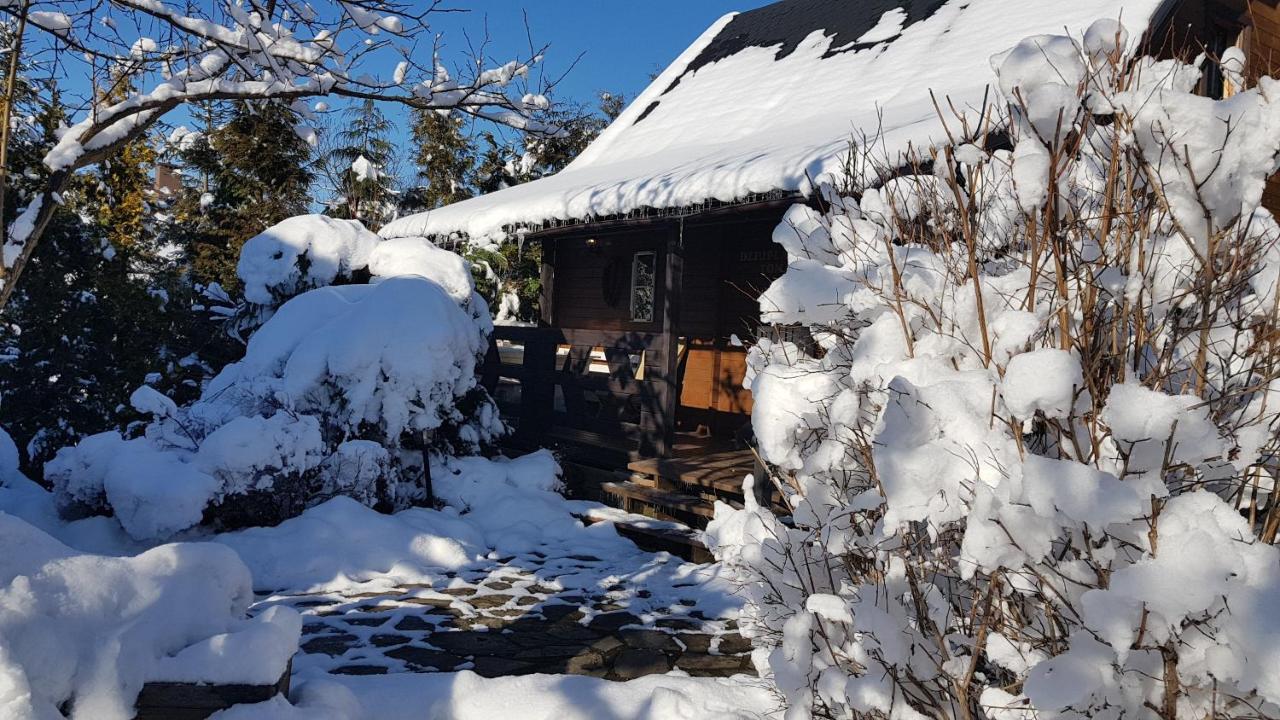Chata Starych Znajomych Sanok Exterior foto